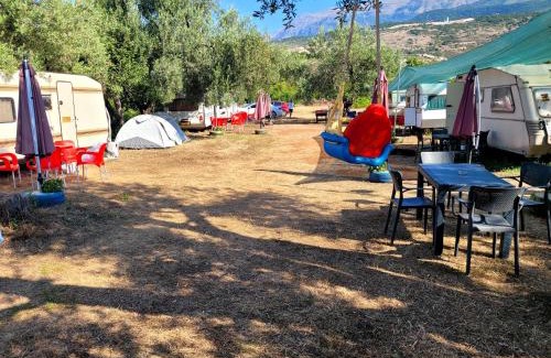 Jala Other | Aquariumi Jale Camping