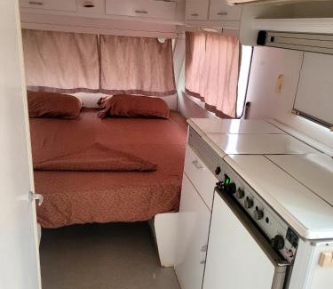 Jala Other | Aquariumi Jale Camping