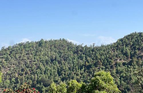 Almora House | Aranya Anandam Homestay