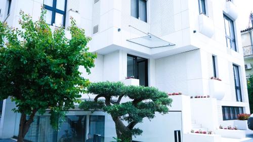 Tirana Hotel | Arbnor Boutique Hotel