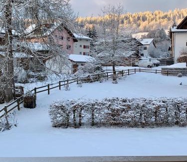 Flims Apartment | Arcula