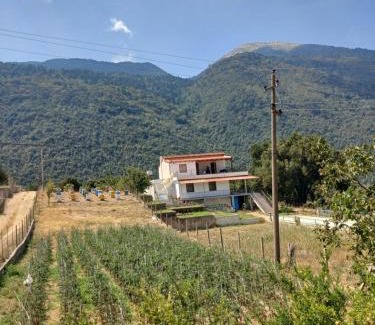 Orikum House | Ari's cozy rooms, Llogara