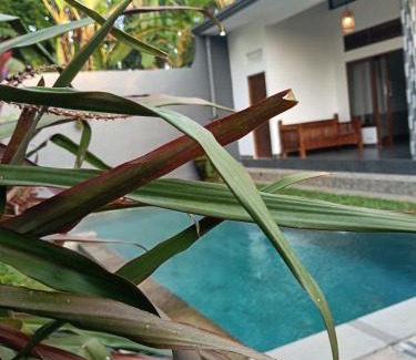 Bongkasa Pertiwi Villa | ari sari villa