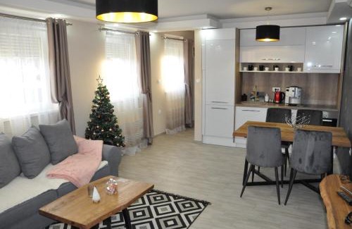 Vrdnik Apartment | Aria lux apartmani