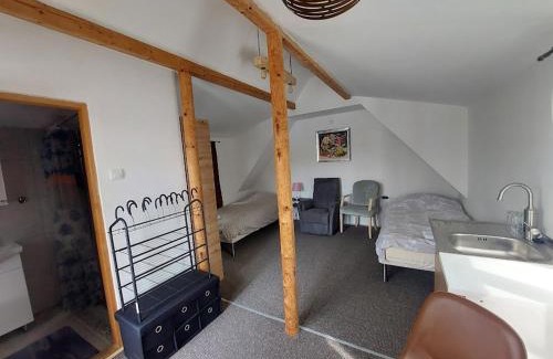 Apatin Other | ARK Village Liberland