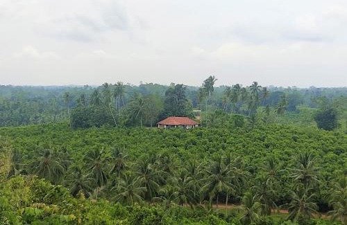 Baddegama Cabin | Aroma Woods