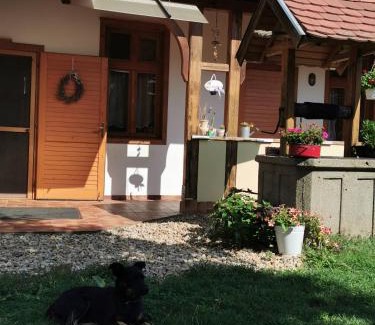 Rum House | Aromaporta