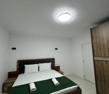 Çagllavicë Apartment | Art Apartment 2