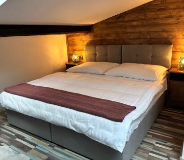 Frydek-Mistek Apartment | ART hotel MAXIM