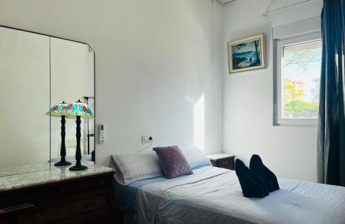 Alicante House | Art House