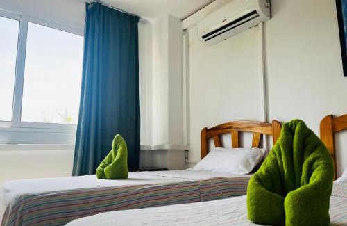 Alicante House | Art House