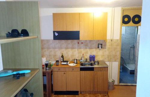 Vozdovac House | Art studio Banjica