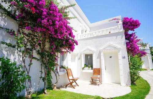 Yalikavak Hotel | Art Suites Hotel