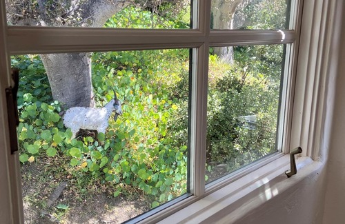 Hatton Fields House | Artist’s Retreat: 3BR Carmel-by-the-Sea w/Ocean Glimpse & Walk to Beach & Town