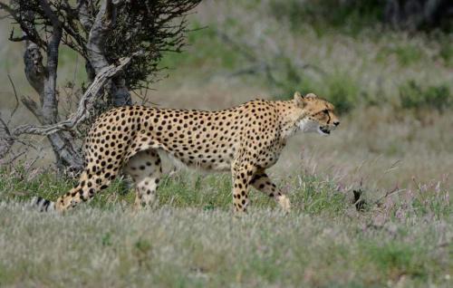 Hazyview House | Ashridge Guesthouse & Safaris