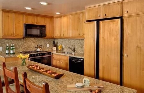 Aspen Apartment | Aspen Core Condo, Next to Gondola, Great Location