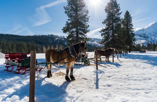 Downtown Leavenworth Apartment | Aspen Suites 505: Enchantment Abode