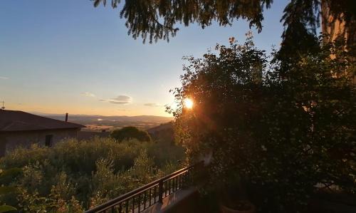 Assisi House | Assisi Garden Suite