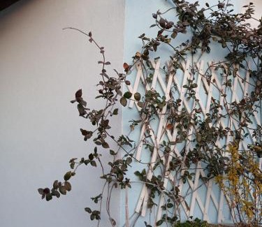 Old Town Apartment | Athina