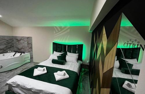 Kragujevac Apartment | Attico Spa