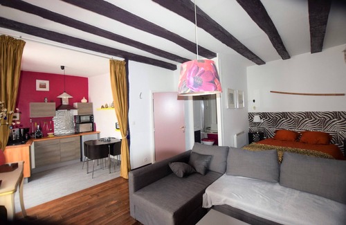 La Roche-Posay Apartment | ATYPICAL APARTMENT IN THE HEART OF THE MEDIEVAL CITY