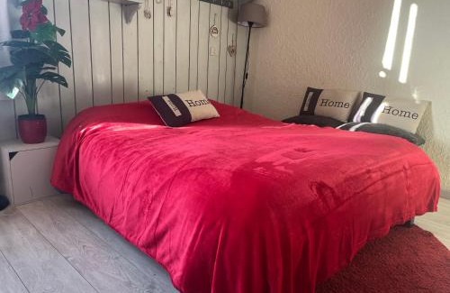 Pra Loup Apartment | au Bonheur - Praloup 1600 - Au cœur de la station et au pied des pistes - La voile des neiges - parking commun privé - local ski
