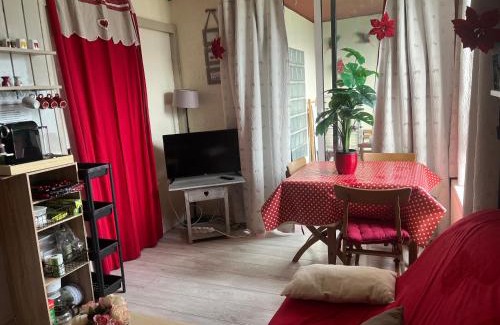 Pra Loup Apartment | au Bonheur - Praloup 1600 - Au cœur de la station et au pied des pistes - La voile des neiges - parking commun privé - local ski