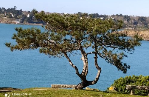 Kerherou Bed & Breakfast | Au coeur des rias, studio Bélon, proche de la mer
