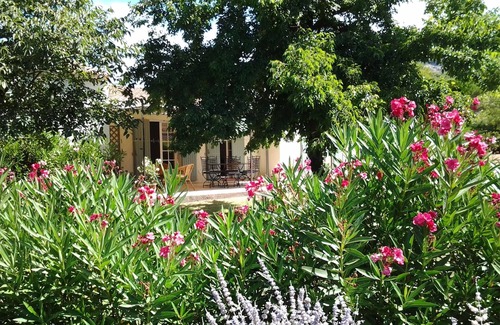 Cheval-Blanc House | Au jardin des Oliviers - Provencal villa in Luberon