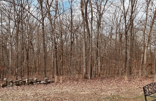 Gilbertsville Cabin | August only book 2 nights get 3rd discounted 50% or book 3 get 4th free!!