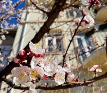 Mostar Bed & Breakfast | Aurelia Rooms