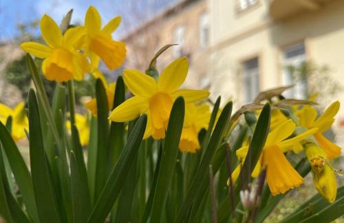 Mostar Bed & Breakfast | Aurelia Rooms
