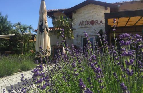 Bukfurdo Bed & Breakfast | Aurora Panzió