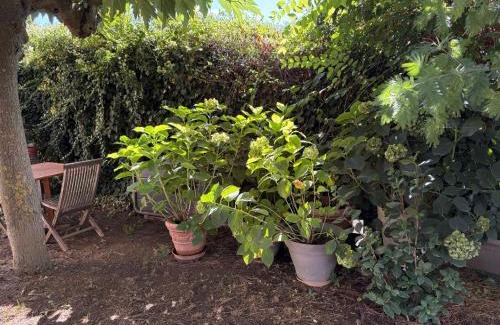 Saint-Just Bed & Breakfast | Aux Amelierets