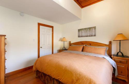 Pemberton Apartment | Available Thanksgiving Special Pemberton Valley 1 bedroom suite king size bed WIFI cable TV gorgeous views free parking walk to Village
