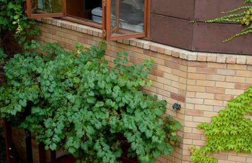 Forrest Apartment | Award-Winning Architectural Loft