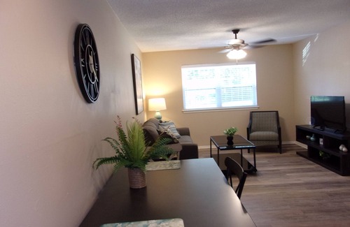 Mesta Park Apartment | Awesome, Fully Furnished, Short Term Rental near Midtown - Downtown