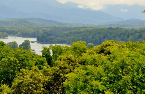 Young Harris Cabin | Awesome Mountain Views in Hiawassee, Georgia. One Family Dog