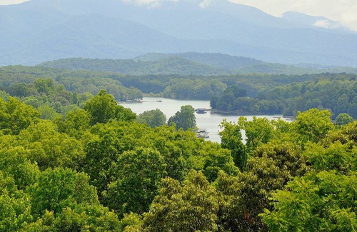 Young Harris Cabin | Awesome Mountain Views in Hiawassee, Georgia. One Family Dog