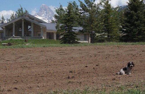 Alta House | Awesome Teton Views! 6 Acres. Ski, Hike, Fish, Jacuzzi. Sleeps 6 Comfortably.