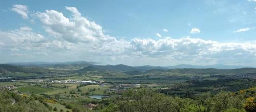 Collesanto House | azienda agraria Il Cardellino 2