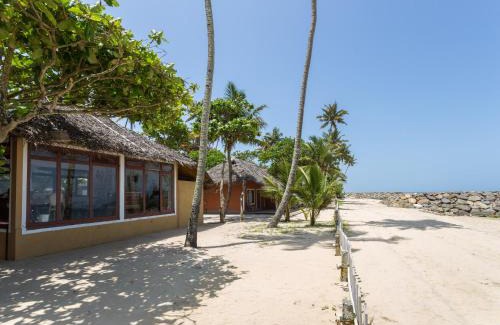 Mararikulam Resort | Azure Tides Marari