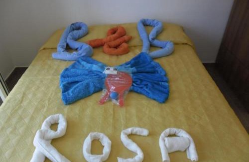 Camerota Bed & Breakfast | B&B Da Rosa Camerota