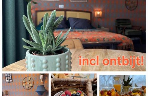 Noordgouwe Bed & Breakfast | B&B de Gouwe Tijd, suite "Gouden Ginkgo"