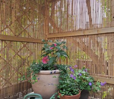 Noordgouwe Bed & Breakfast | B&B de Gouwe Tijd, suite "Gouden Ginkgo"
