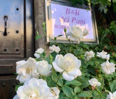 Viterbo Bed & Breakfast | B&B dei Papi Boutique Hotel