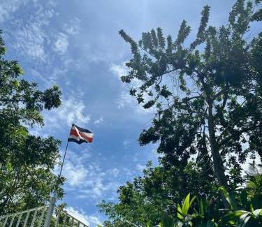San Jose Bed & Breakfast | B&B Garden Grecia