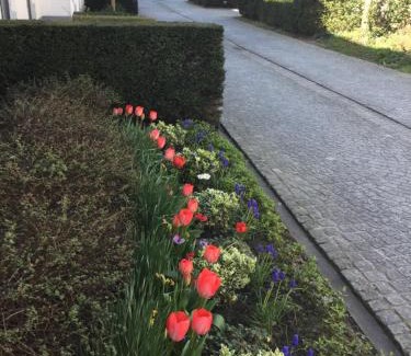 Historical Center Bruges Bed & Breakfast | B&B Het Colettientje