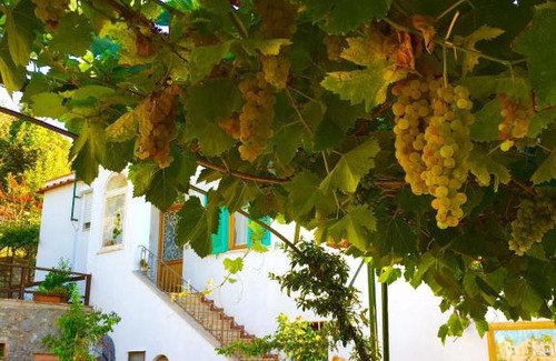 Anacapri Bed & Breakfast | B&B Il Grappolo