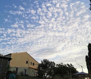 Castellina Marittima Bed & Breakfast | B&B Il Poggio di Fiore